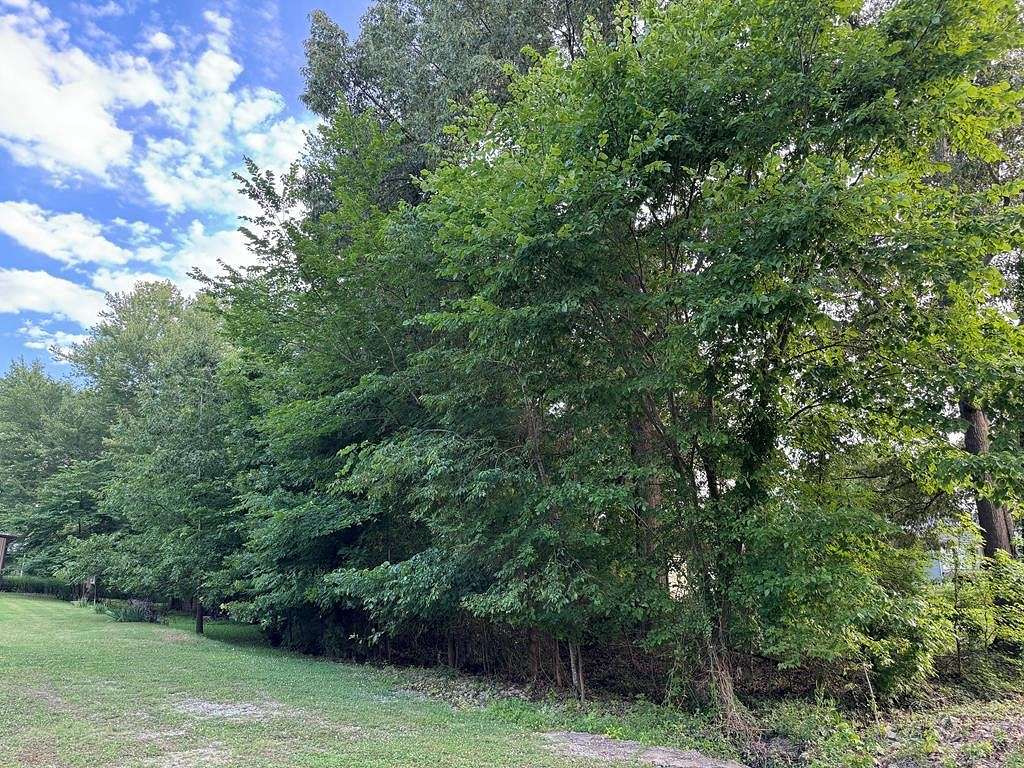 0.269 Acres of Residential Land for Sale in Springville, Tennessee