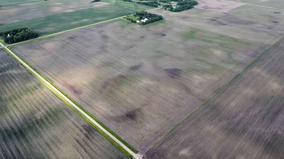 150 Acres of Agricultural Land for Sale in Winnebago, Minnesota