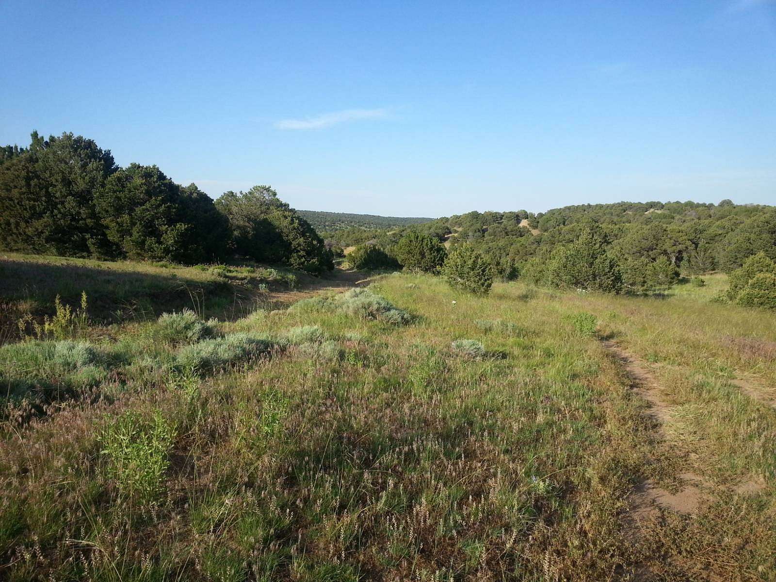 40 Acres of Recreational Land for Sale in Walsenburg, Colorado