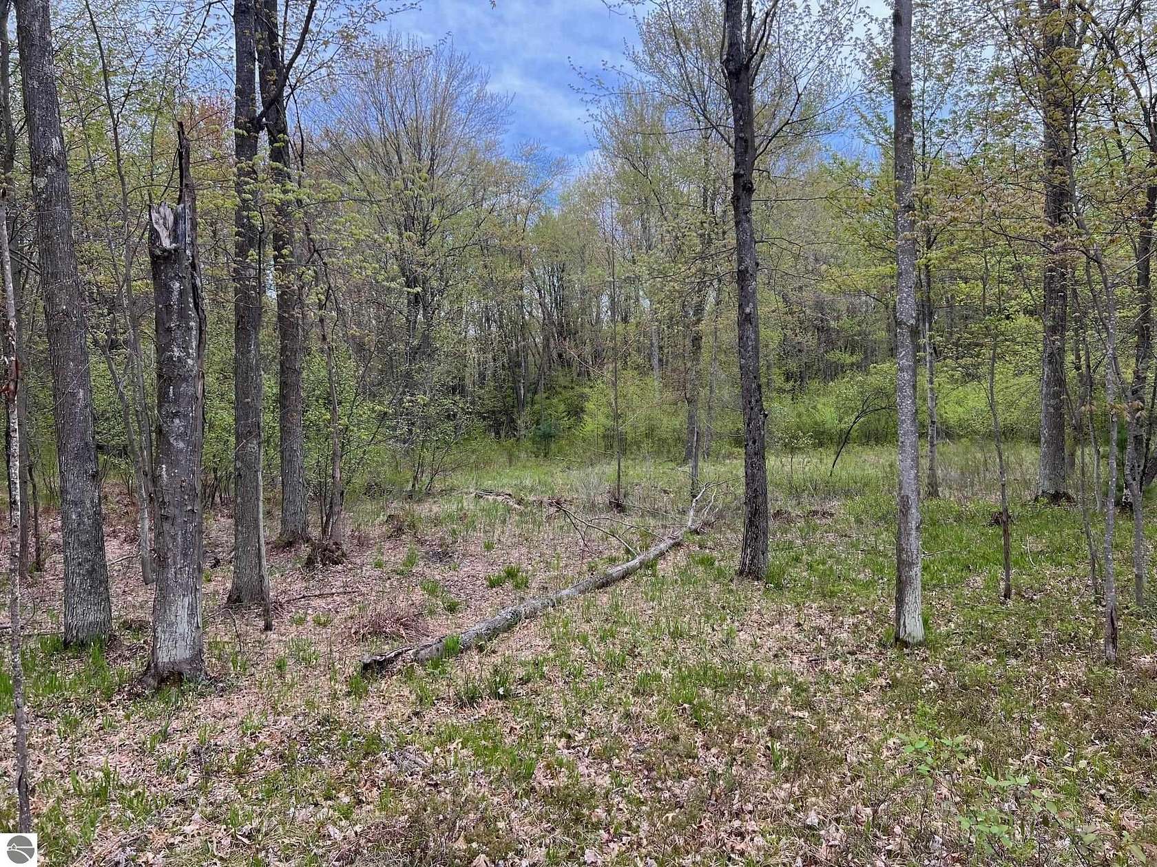 40 Acres of Recreational Land for Sale in Falmouth, Michigan