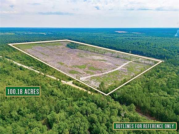 100.18 Acres of Recreational Land & Farm for Sale in McRae-Helena, Georgia