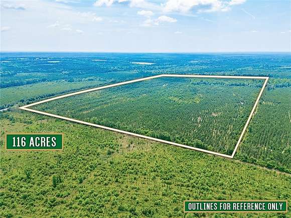 116 Acres of Recreational Land & Farm for Sale in Lumber City, Georgia