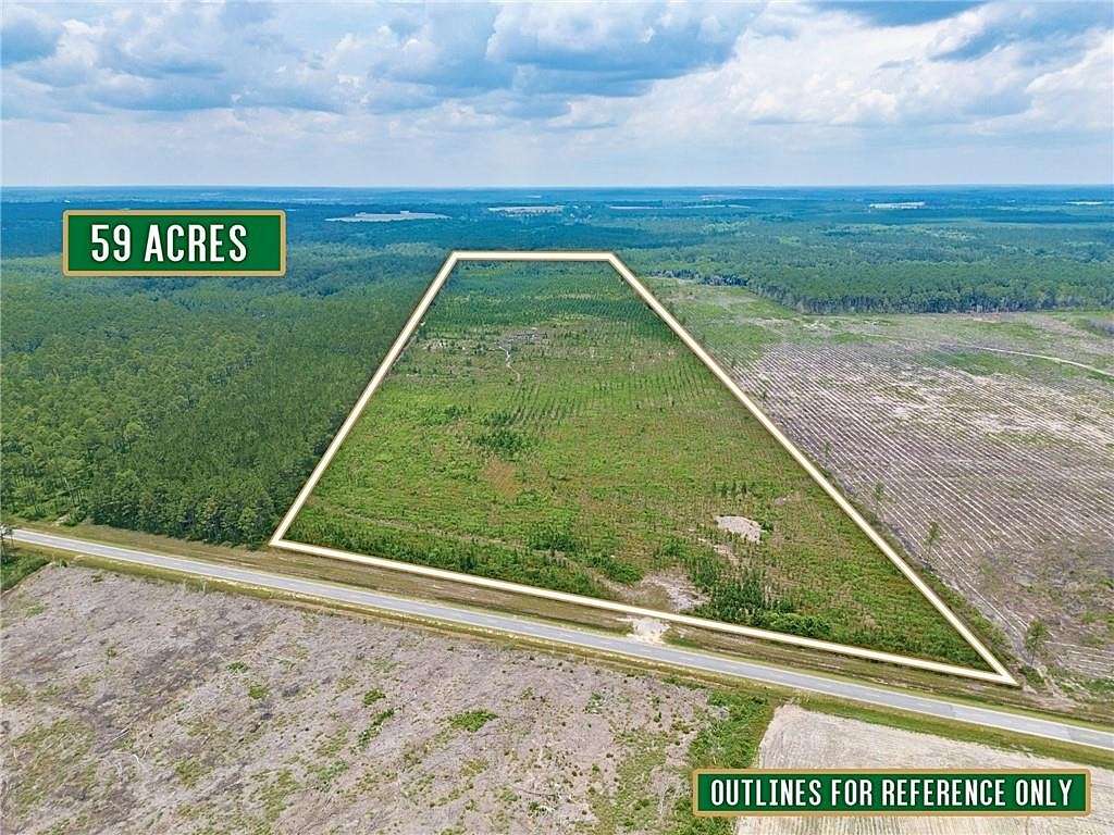 59.94 Acres of Recreational Land & Farm for Sale in Jacksonville, Georgia