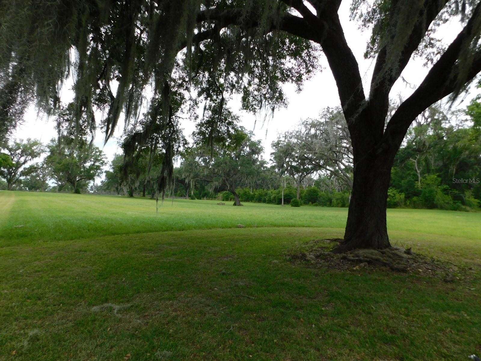 3.69 Acres of Residential Land for Sale in Reddick, Florida