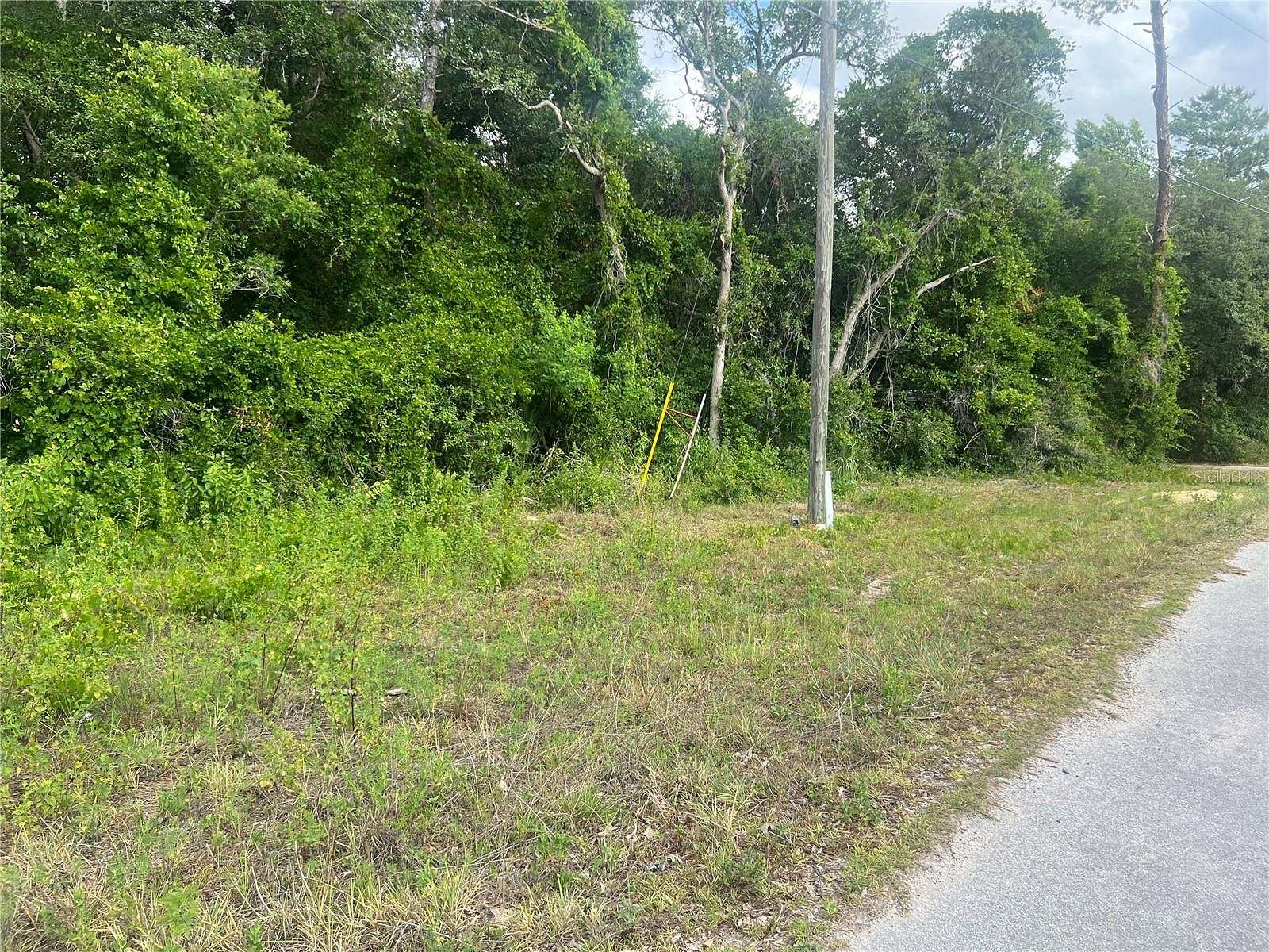 0.25 Acres of Residential Land for Sale in Silver Springs, Florida