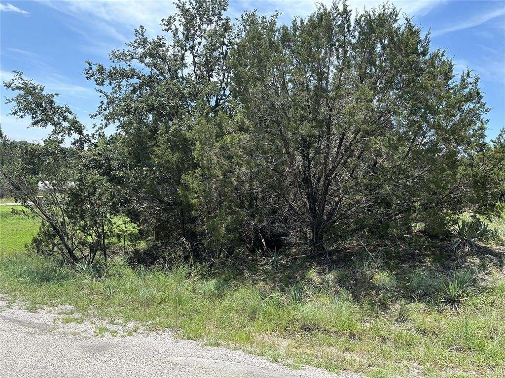 0.14 Acres of Residential Land for Sale in Granbury, Texas