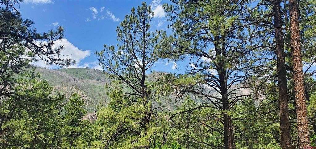 0.209 Acres of Residential Land for Sale in Durango, Colorado