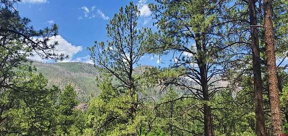 0.209 Acres of Residential Land for Sale in Durango, Colorado