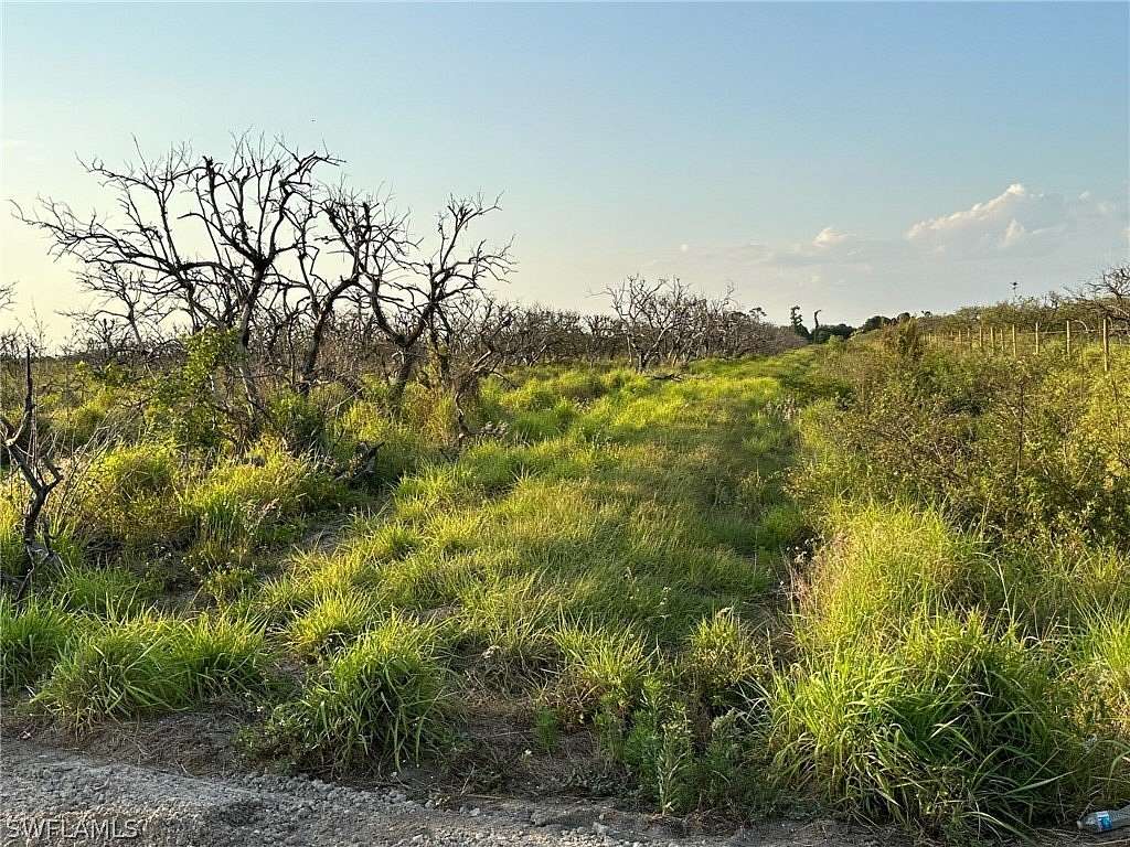 9.714 Acres of Land for Sale in LaBelle, Florida