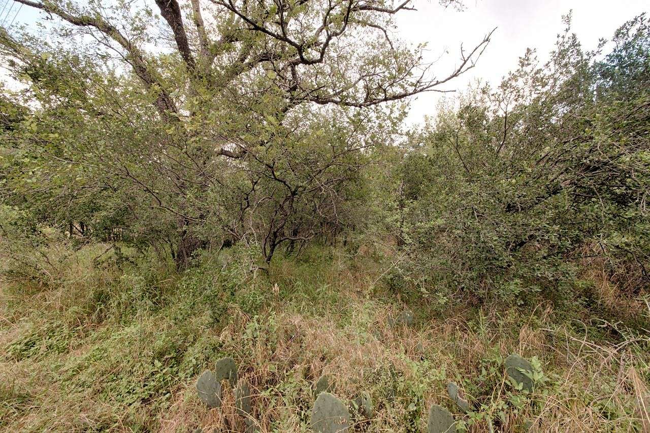 0.11 Acres of Land for Sale in Granite Shoals, Texas