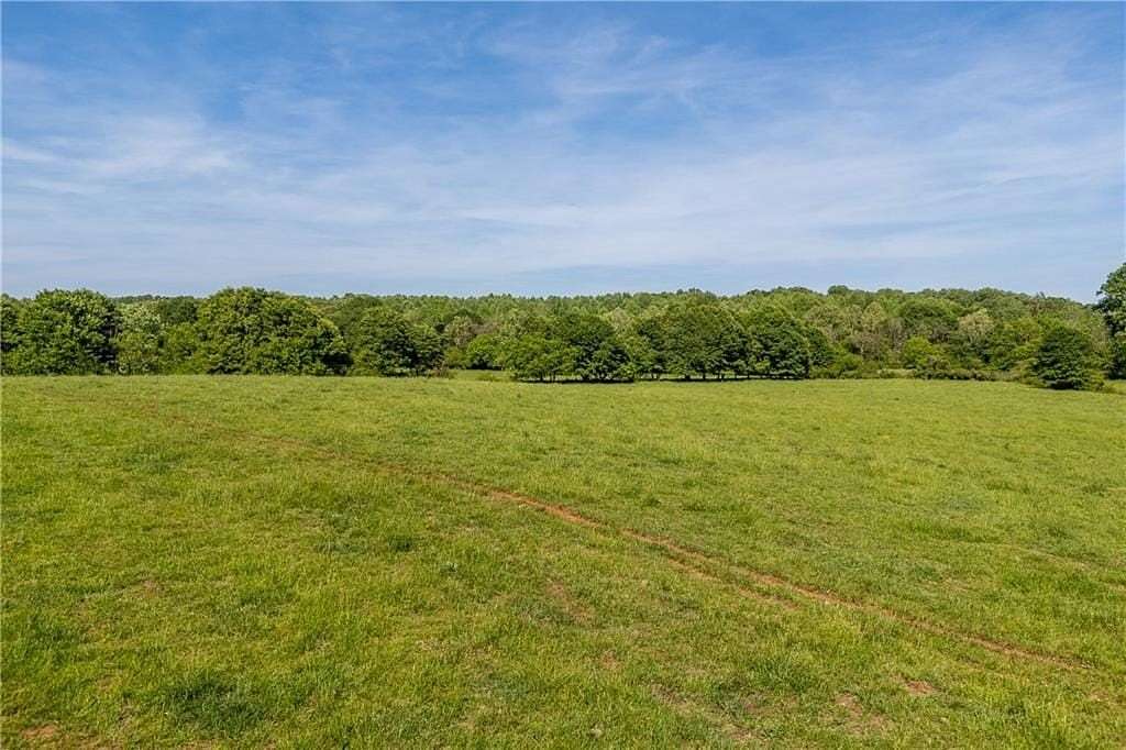 74 Acres of Agricultural Land for Sale in Carnesville, Georgia