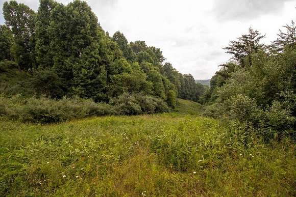 4.935 Acres of Land for Sale in Laurel Fork, Virginia