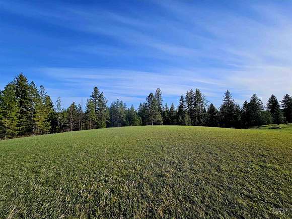 40 Acres of Land for Sale in Kendrick, Idaho