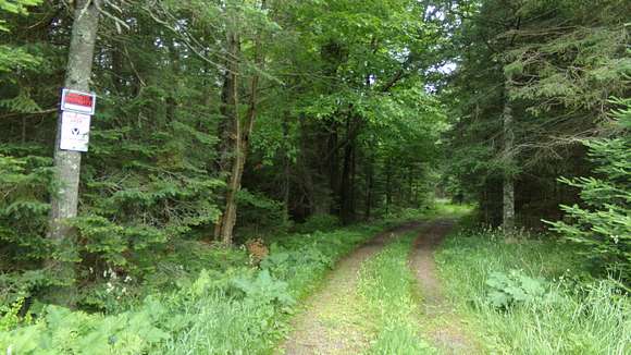 37.18 Acres of Recreational Land for Sale in Antigo, Wisconsin