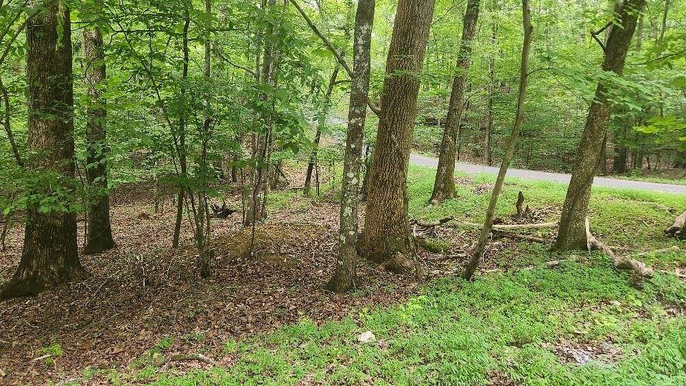 0.25 Acres of Residential Land for Sale in Spring City, Tennessee