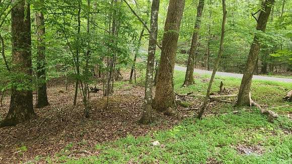 0.25 Acres of Land for Sale in Spring City, Tennessee