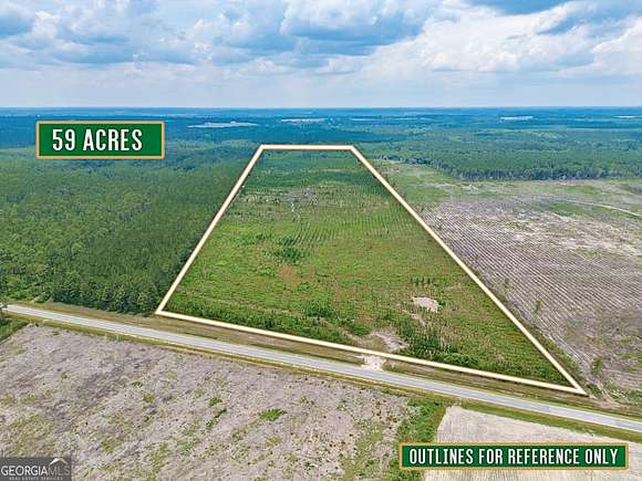59.94 Acres of Recreational Land for Sale in Jacksonville, Georgia