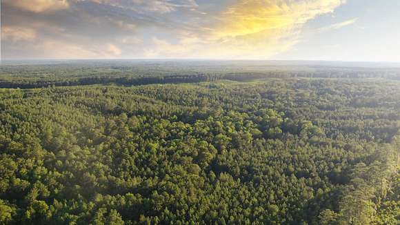 93.2 Acres of Recreational Land for Sale in Jena, Louisiana