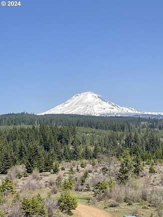 20 Acres of Recreational Land for Sale in White Salmon, Washington