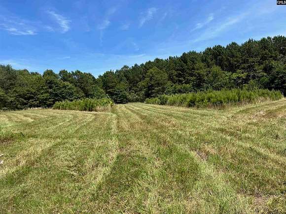 10.82 Acres of Land for Sale in Swansea, South Carolina