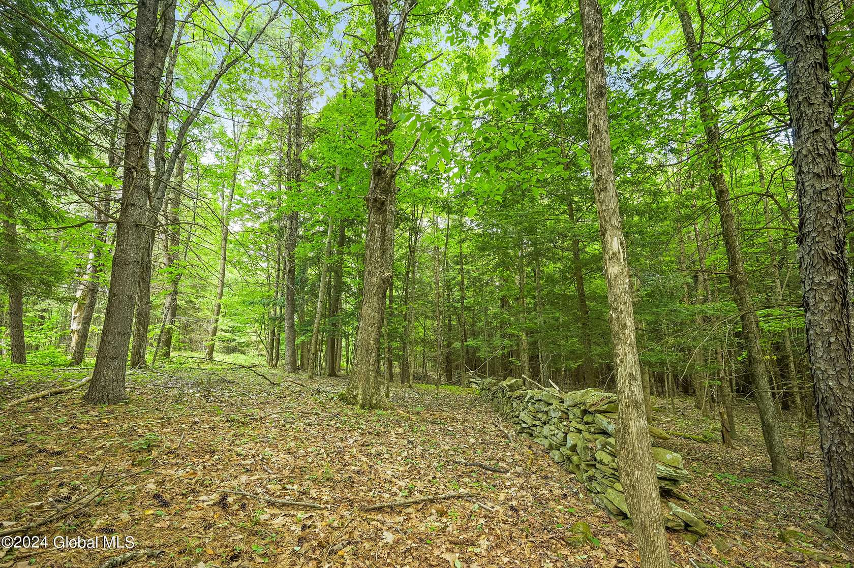 5.15 Acres of Residential Land for Sale in Jefferson, New York