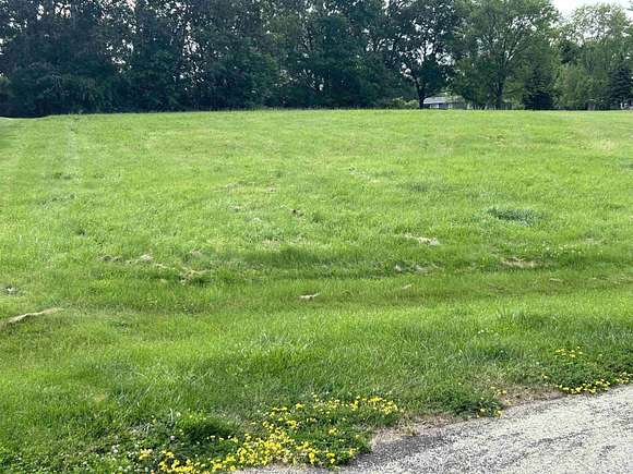 0.58 Acres of Residential Land for Sale in Davis, Illinois