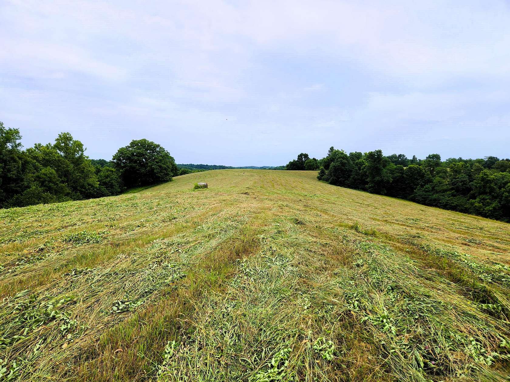 93.31 Acres of Agricultural Land for Sale in Carlisle, Kentucky