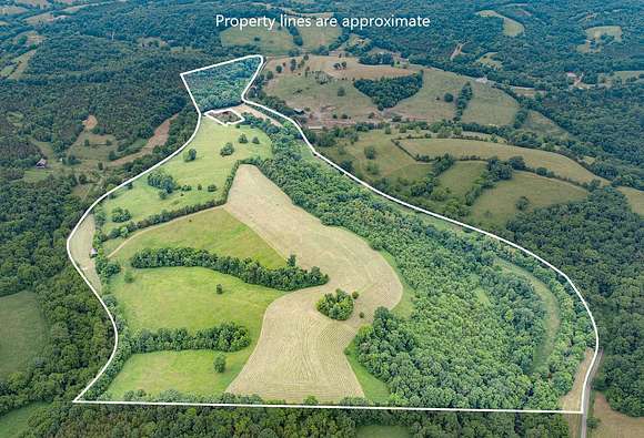 93.31 Acres of Agricultural Land for Sale in Carlisle, Kentucky