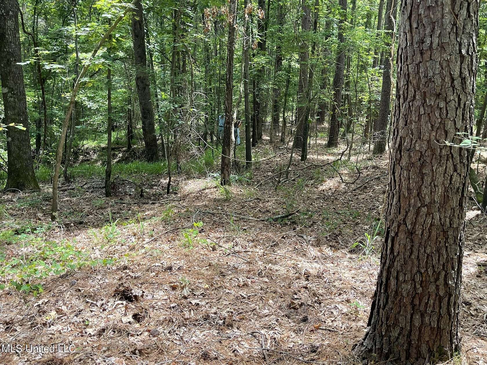 66 Acres of Land for Sale in Pope, Mississippi
