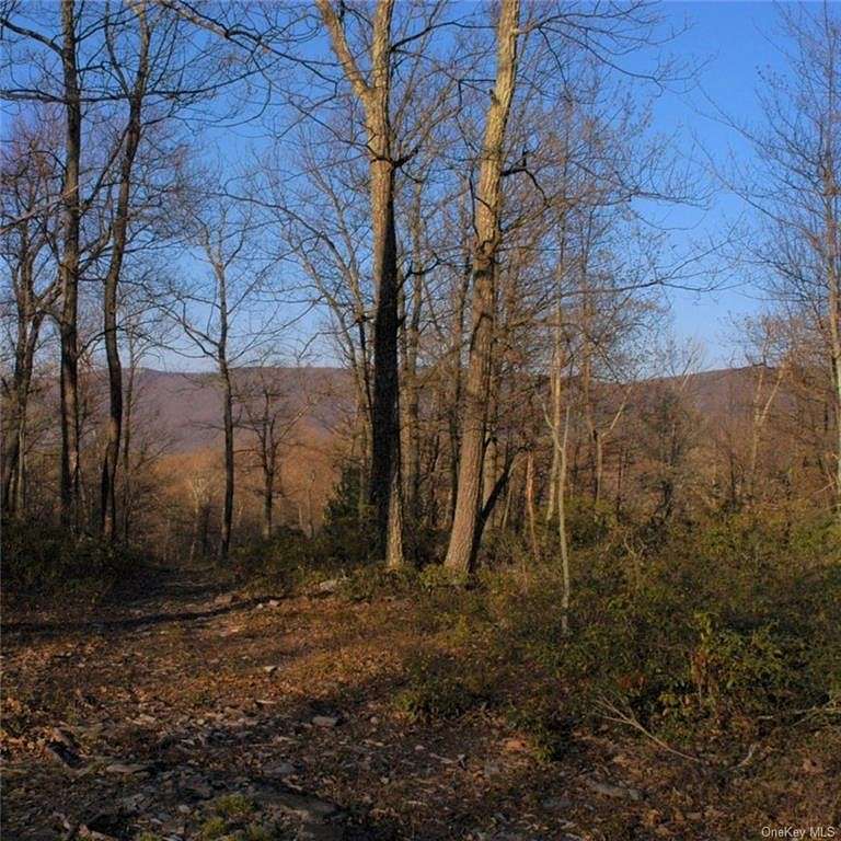 45.5 Acres of Land for Sale in Mamakating Town, New York