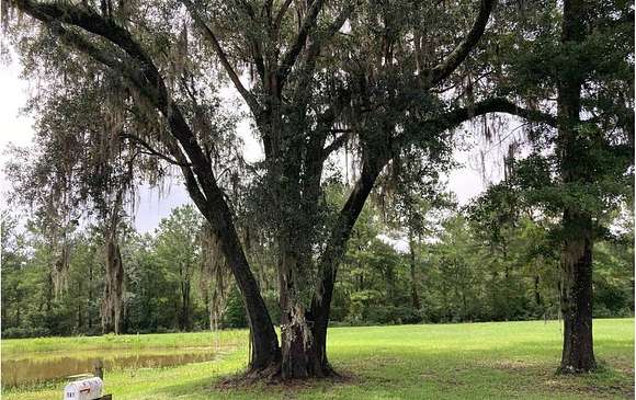 0.75 Acres of Land for Sale in Lake City, Florida
