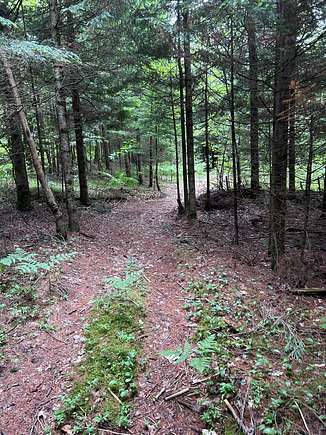 46.9 Acres of Land for Sale in Mooers Forks, New York