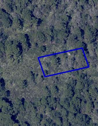 0.22 Acres of Residential Land for Sale in Mims, Florida