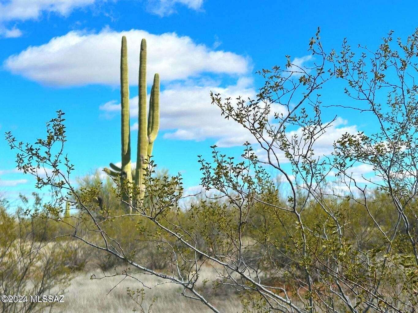 40 Acres of Recreational Land & Farm for Sale in Marana, Arizona