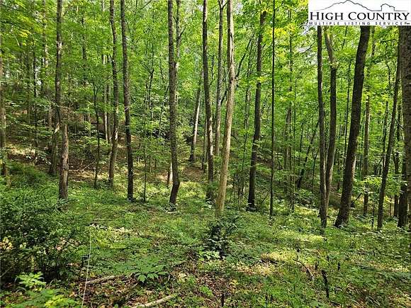 18 Acres of Recreational Land for Sale in Ennice, North Carolina
