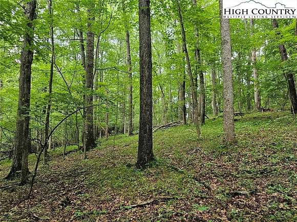 18 Acres of Recreational Land for Sale in Ennice, North Carolina ...