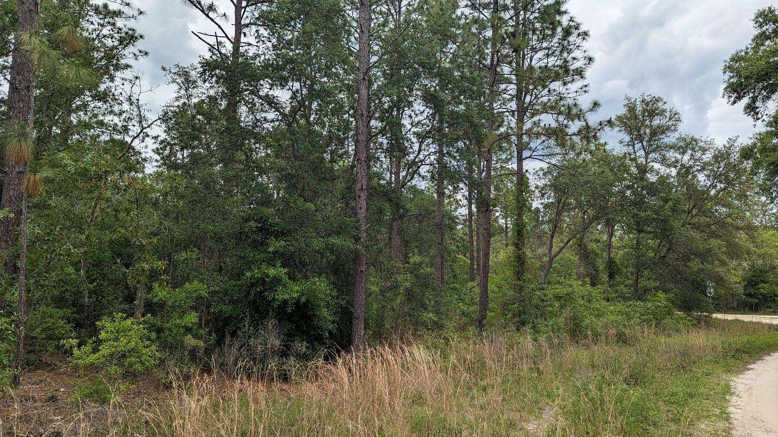 1.34 Acres of Residential Land for Sale in Ocala, Florida
