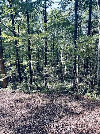 0.33 Acres of Residential Land for Sale in Hot Springs Village, Arkansas