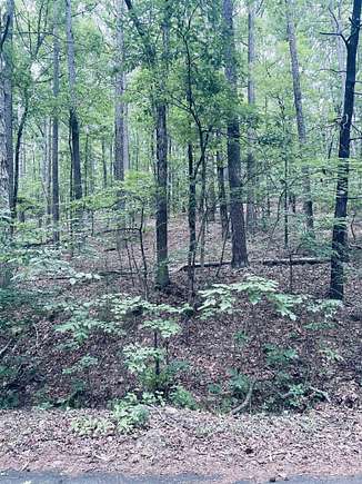 0.24 Acres of Residential Land for Sale in Hot Springs Village, Arkansas