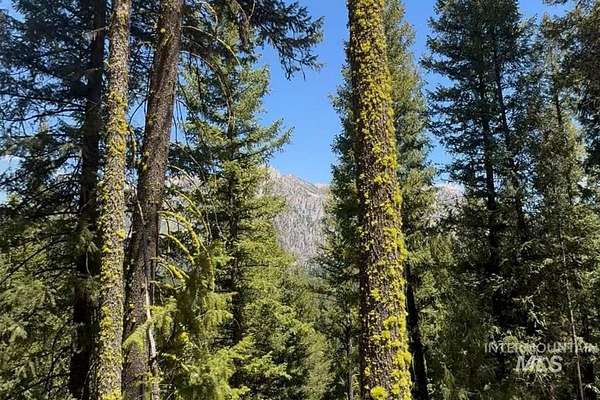 0.39 Acres of Land for Sale in Atlanta, Idaho
