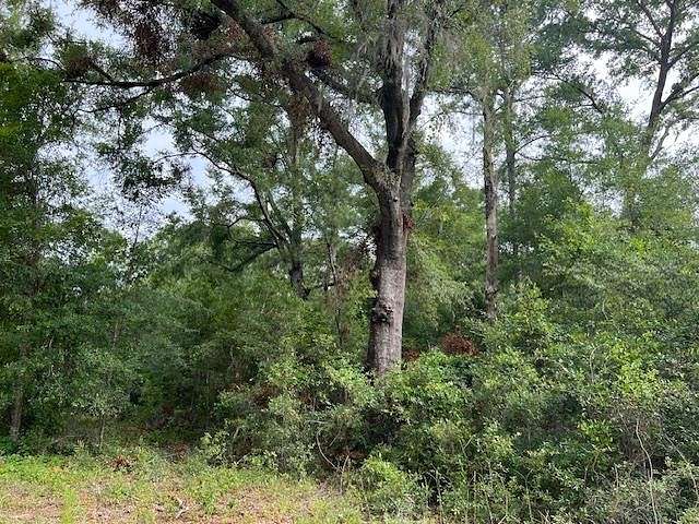 6.73 Acres of Residential Land for Sale in Wellborn, Florida