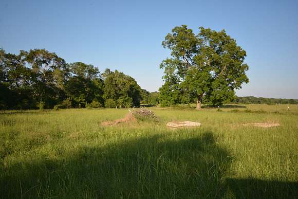 20 Acres of Agricultural Land for Sale in Crockett, Texas