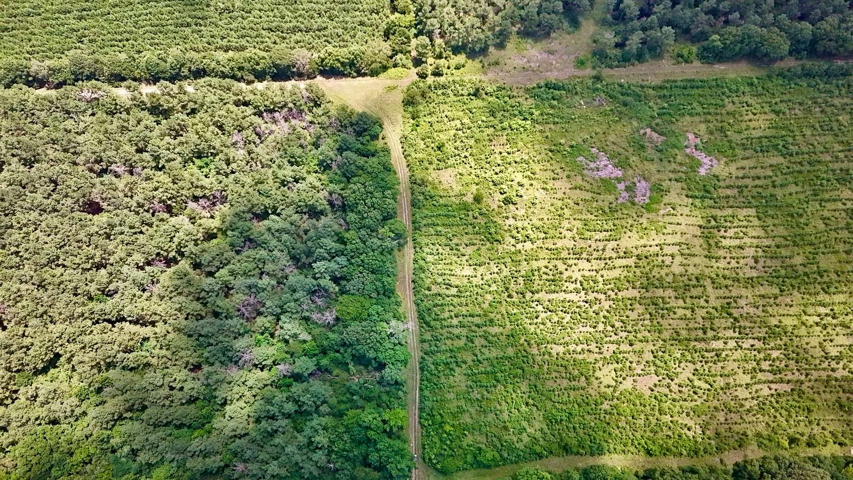 370 Acres of Recreational Land for Sale in Detroit, Texas