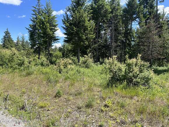 1 Acres of Residential Land for Sale in Spirit Lake, Idaho