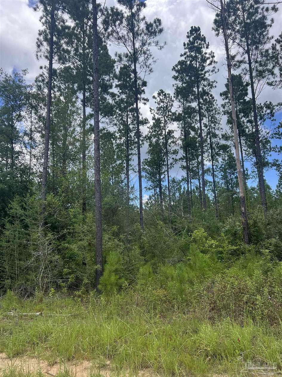 3 Acres of Residential Land for Sale in Pace, Florida