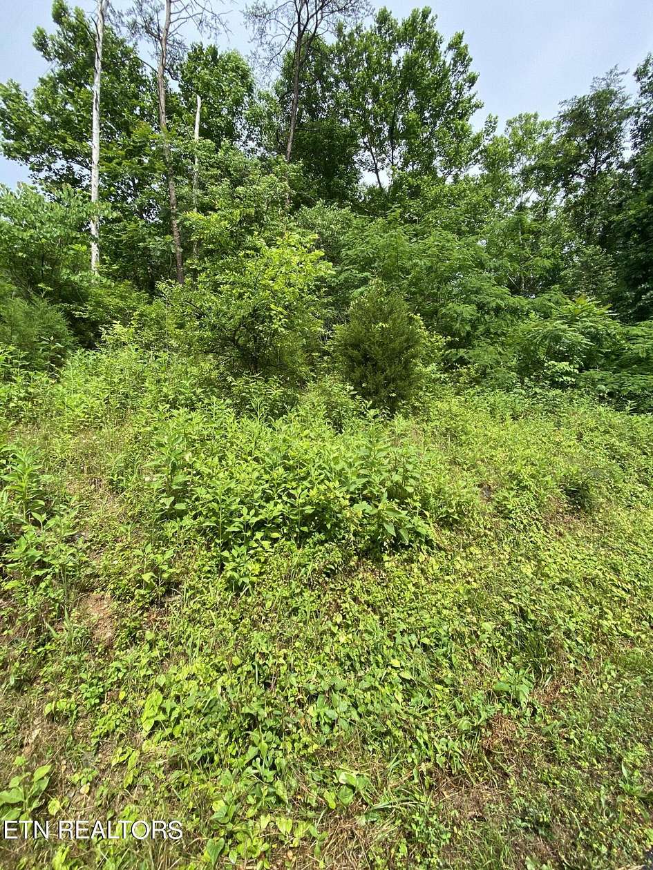 13 Acres of Land for Sale in Powell, Tennessee