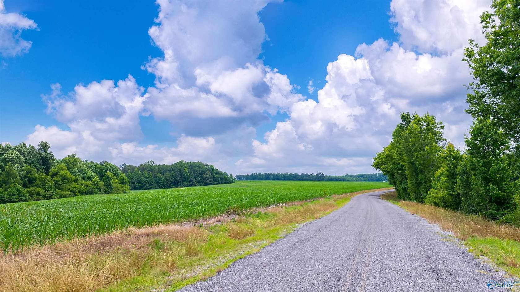 71 Acres of Recreational Land & Farm for Sale in Section, Alabama