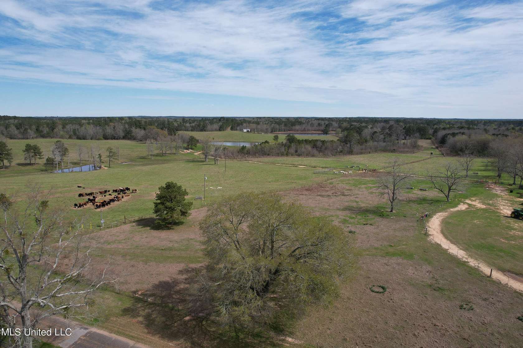 315.42 Acres of Land for Sale in Pachuta, Mississippi