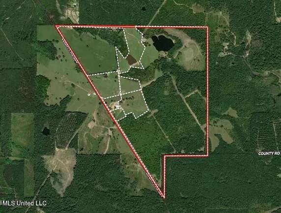 315.42 Acres of Land for Sale in Pachuta, Mississippi