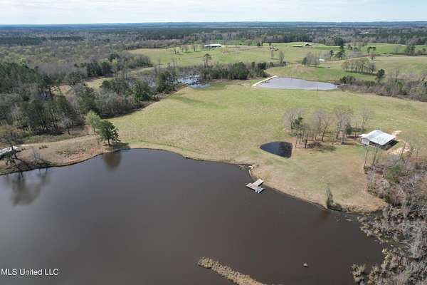 315 Acres of Land for Sale in Pachuta, Mississippi
